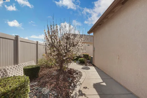 a path view of a backyard
