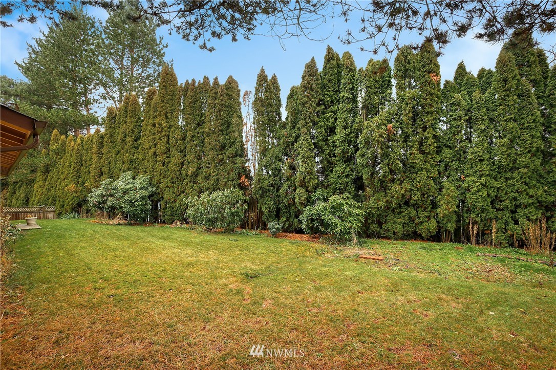 17734 113th Place Southeast Renton, WA 98055 - Photo 21 of 22