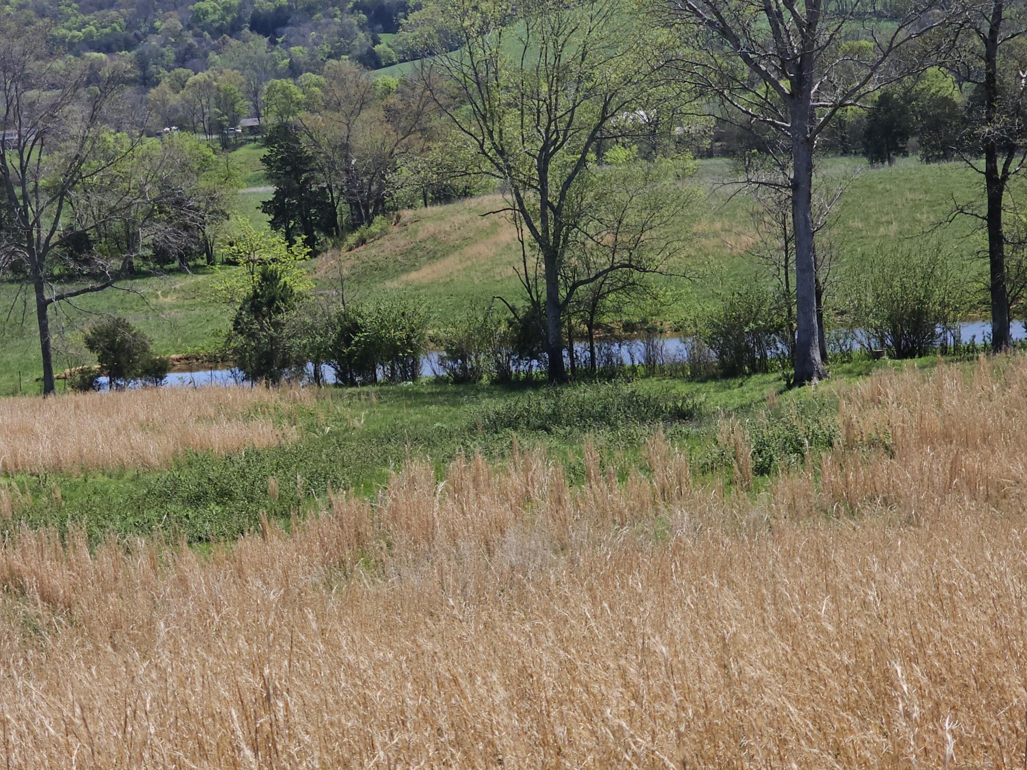 495 Lower East Valley Road Dunlap, TN 37327 - Photo 17 of 58 Gallery Image 17