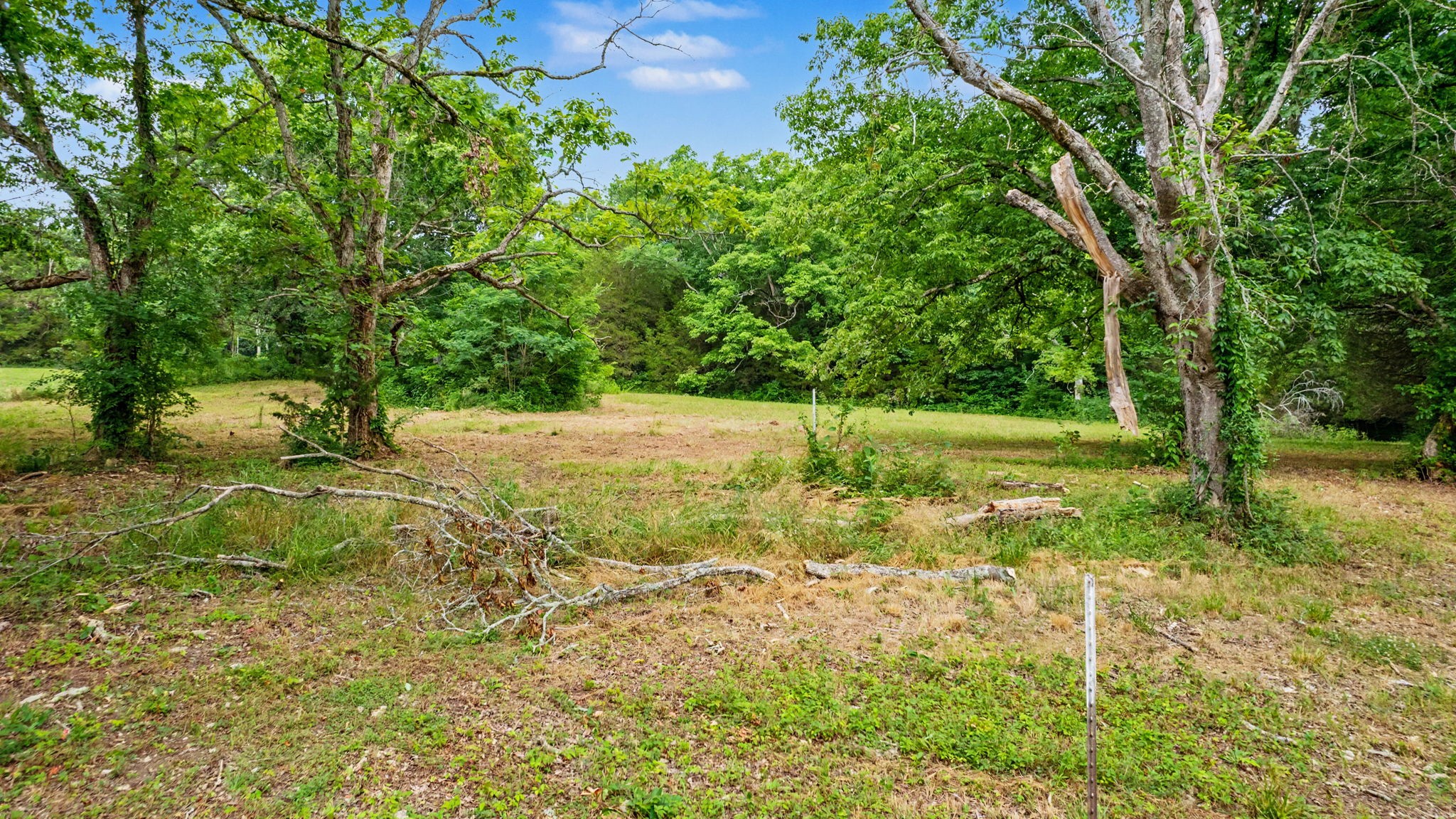 0 Morgan Road Rockvale, TN 37153 - Photo 7 of 24