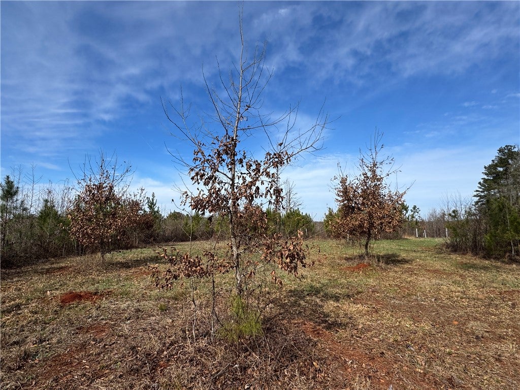 0 South Thornton Road Camp Hill, AL 36850 - Photo 33 of 37 Gallery Image 33