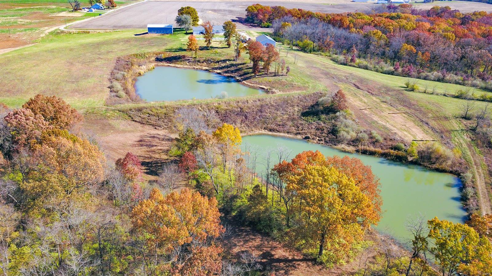 14413 Fessler Road Dow, IL 62022 - Photo 13 of 49
