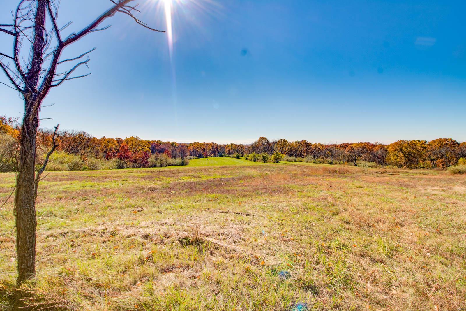 14413 Fessler Road Dow, IL 62022 - Photo 43 of 49