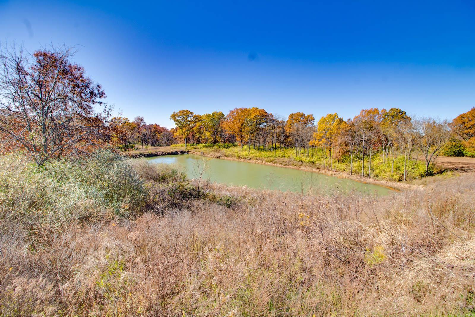 14413 Fessler Road Dow, IL 62022 - Photo 44 of 49