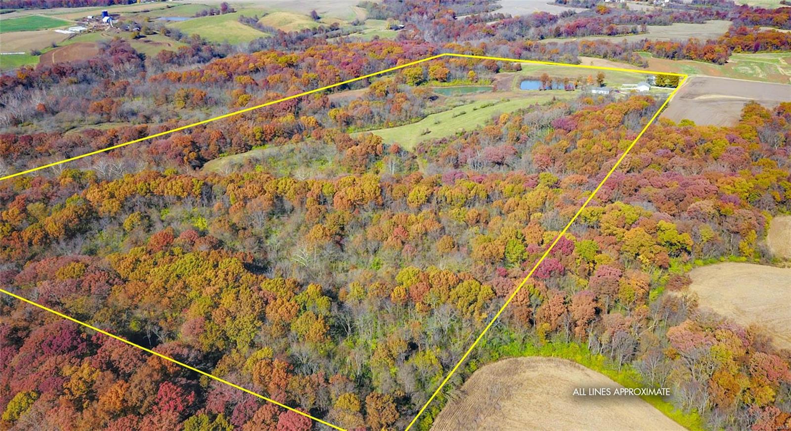 14413 Fessler Road Dow, IL 62022 - Photo 7 of 49