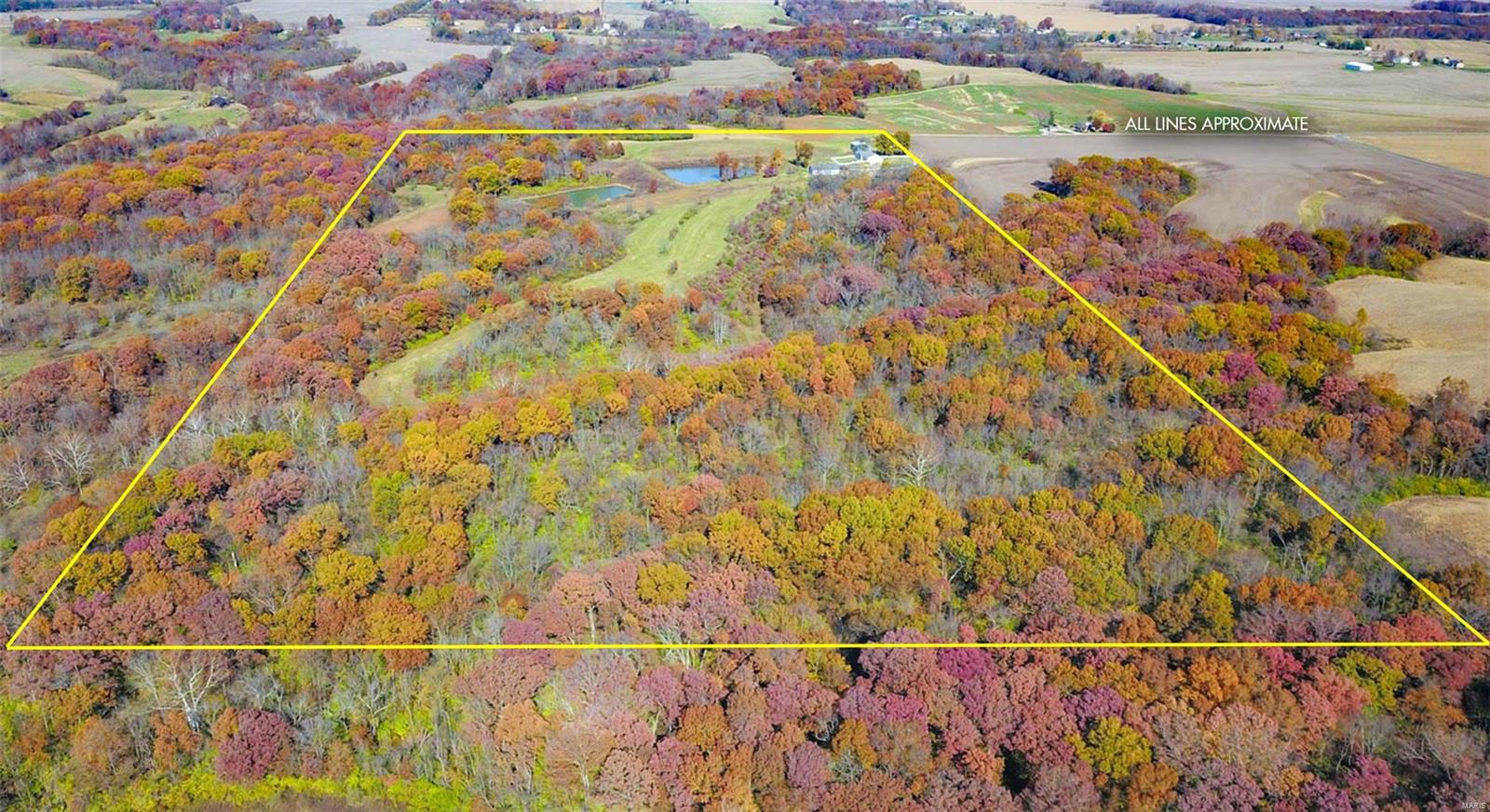 14413 Fessler Road Dow, IL 62022 - Photo 8 of 49