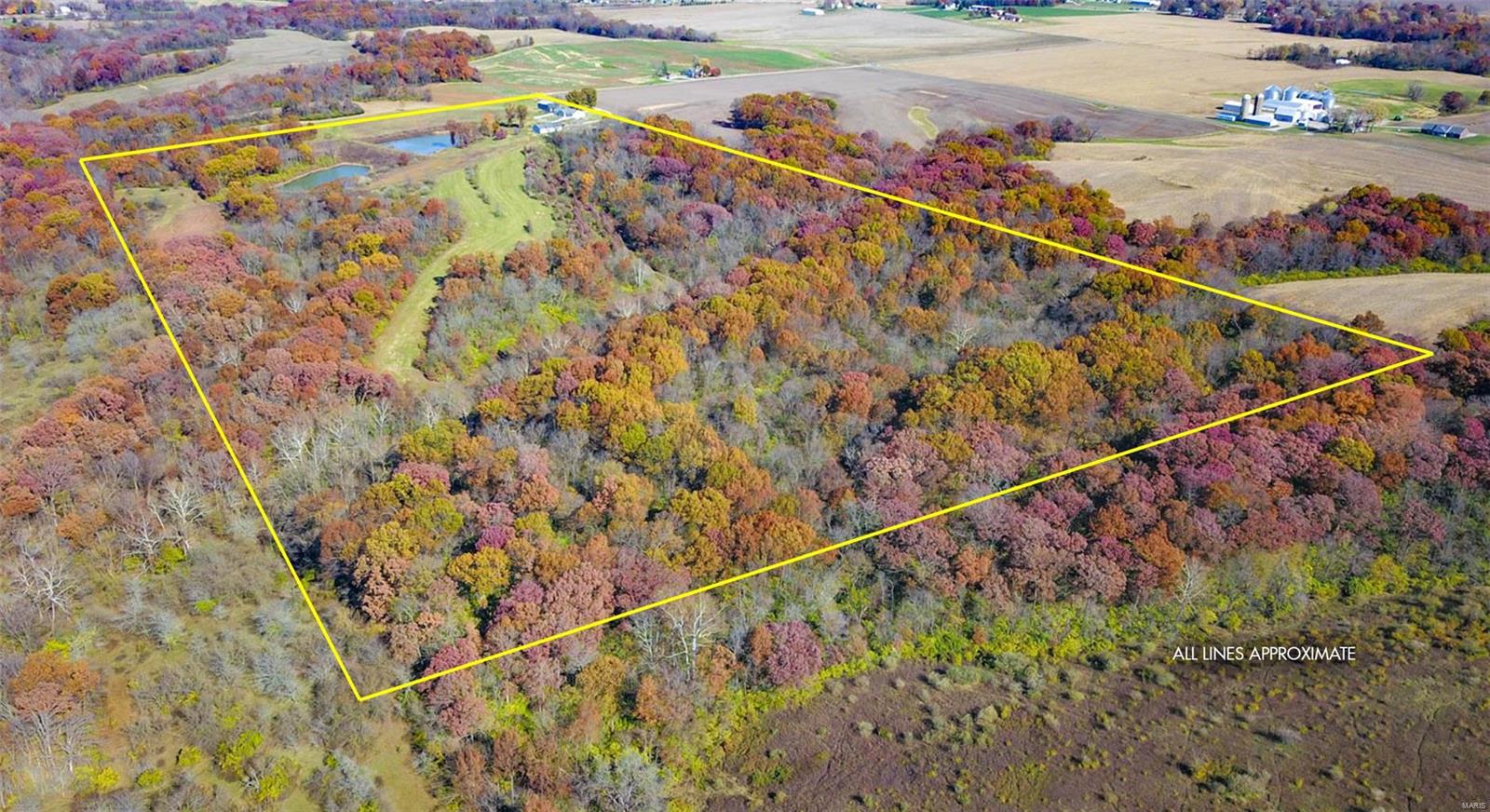 14413 Fessler Road Dow, IL 62022 - Photo 9 of 49