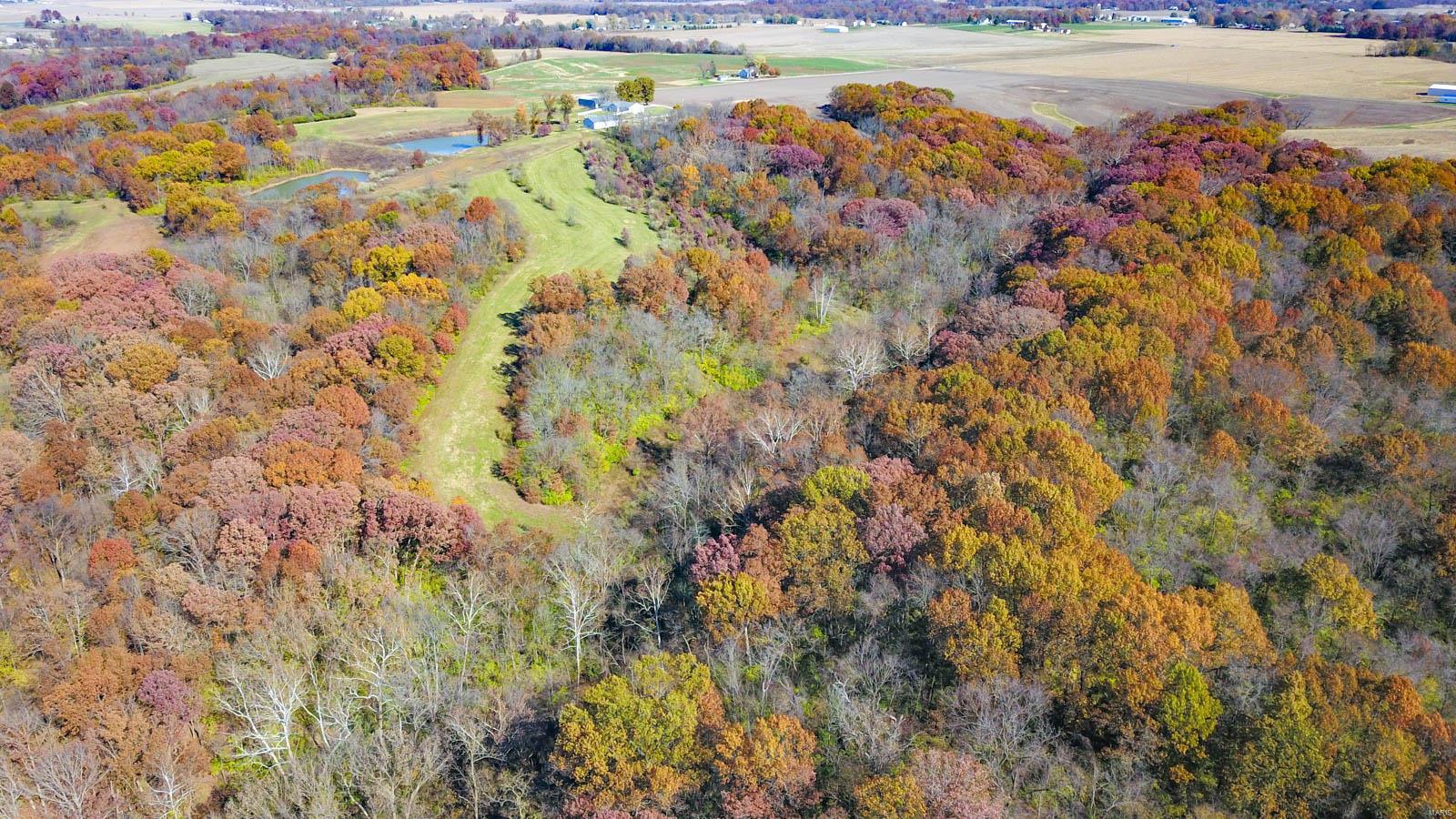 14413 Fessler Road Dow, IL 62022 - Photo 10 of 49