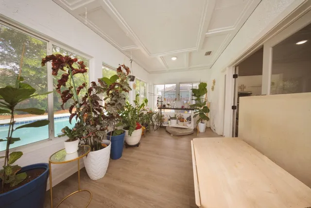 a dining room with furniture and a potted plant