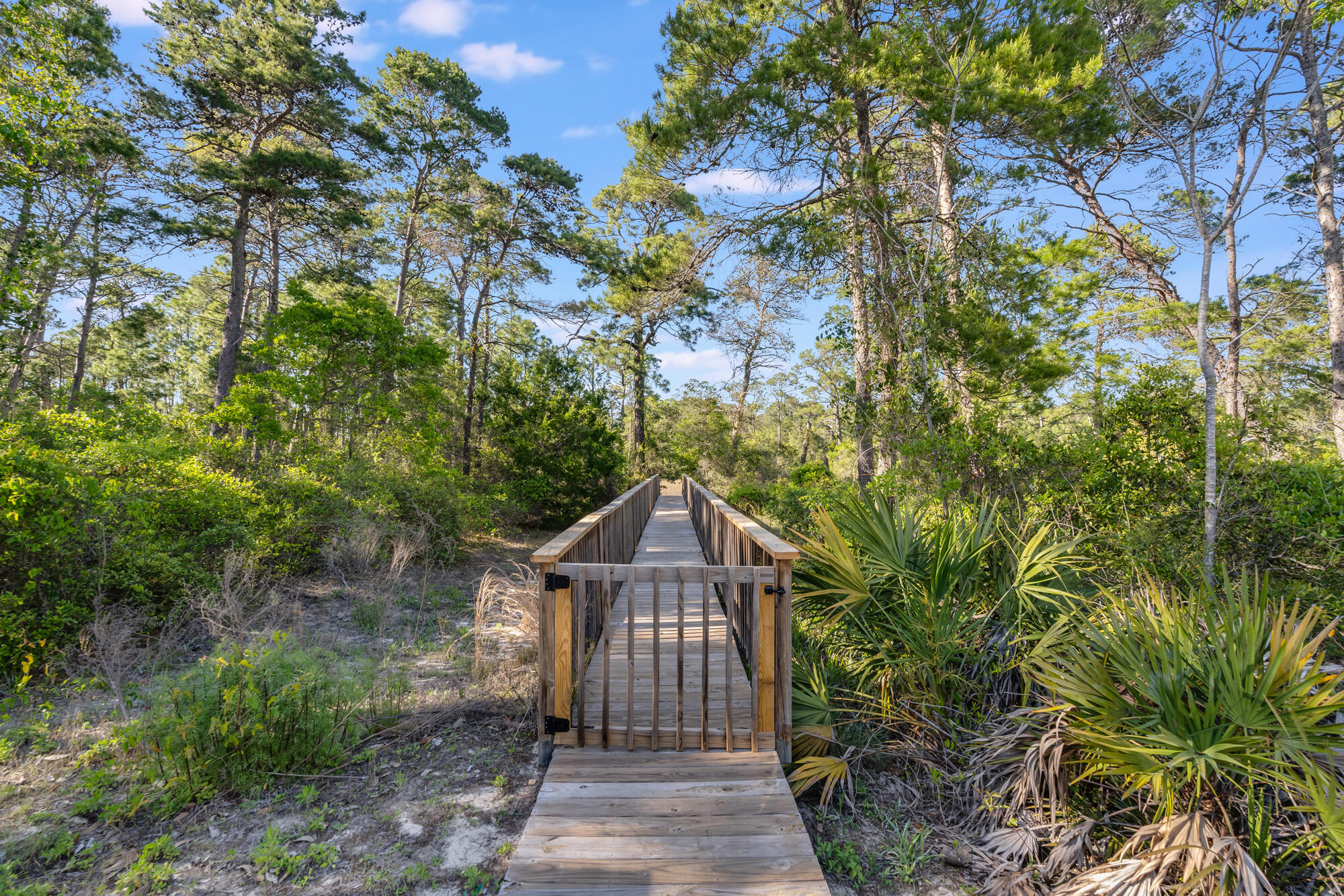 103 West Willow Mist Road Inlet Beach, FL 32461 - Photo 67 of 77 103 W Willow Mist Road