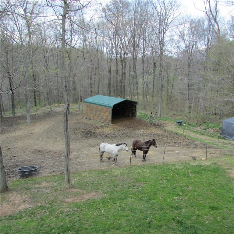189 Upper Service Road Hookstown, PA 15050 - Photo 24 of 25 Fenced pasture great for horses.
