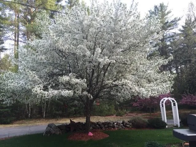 $639,900 | 46 Oak Hill Road, Brookline, NH 03033