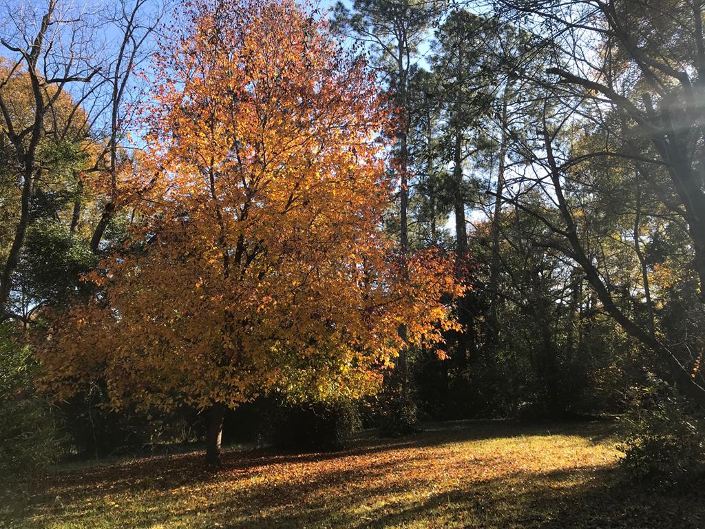 4324 Old Macon Road Columbus, GA 31907 - Photo 12 of 12 Backyard