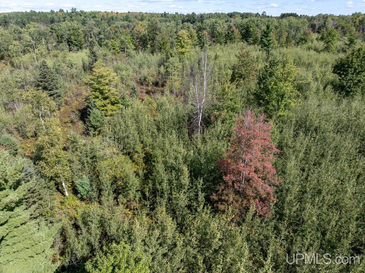 14-ac Lind Road Crystal Falls, MI 49920 - Photo 6 of 22 Gallery Image 6