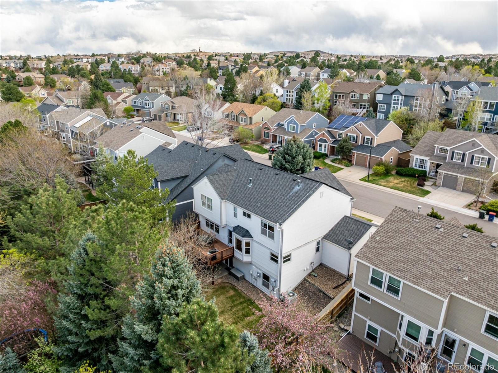 707 Huntington Place Highlands Ranch, CO 80126 - Photo 49 of 50