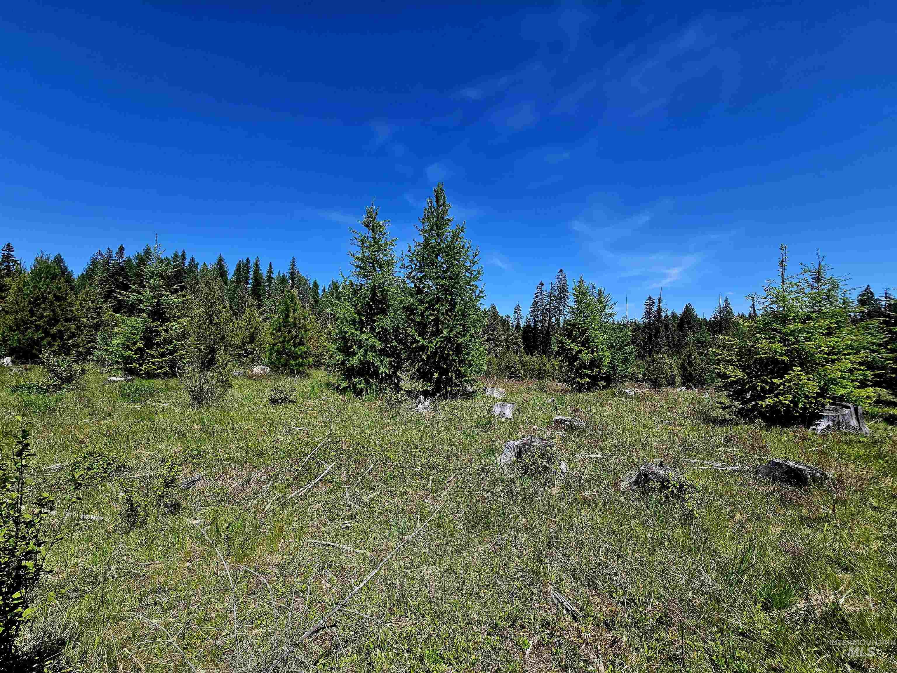 0 Timberline Heights Weippe, ID 83553 - Photo 7 of 17