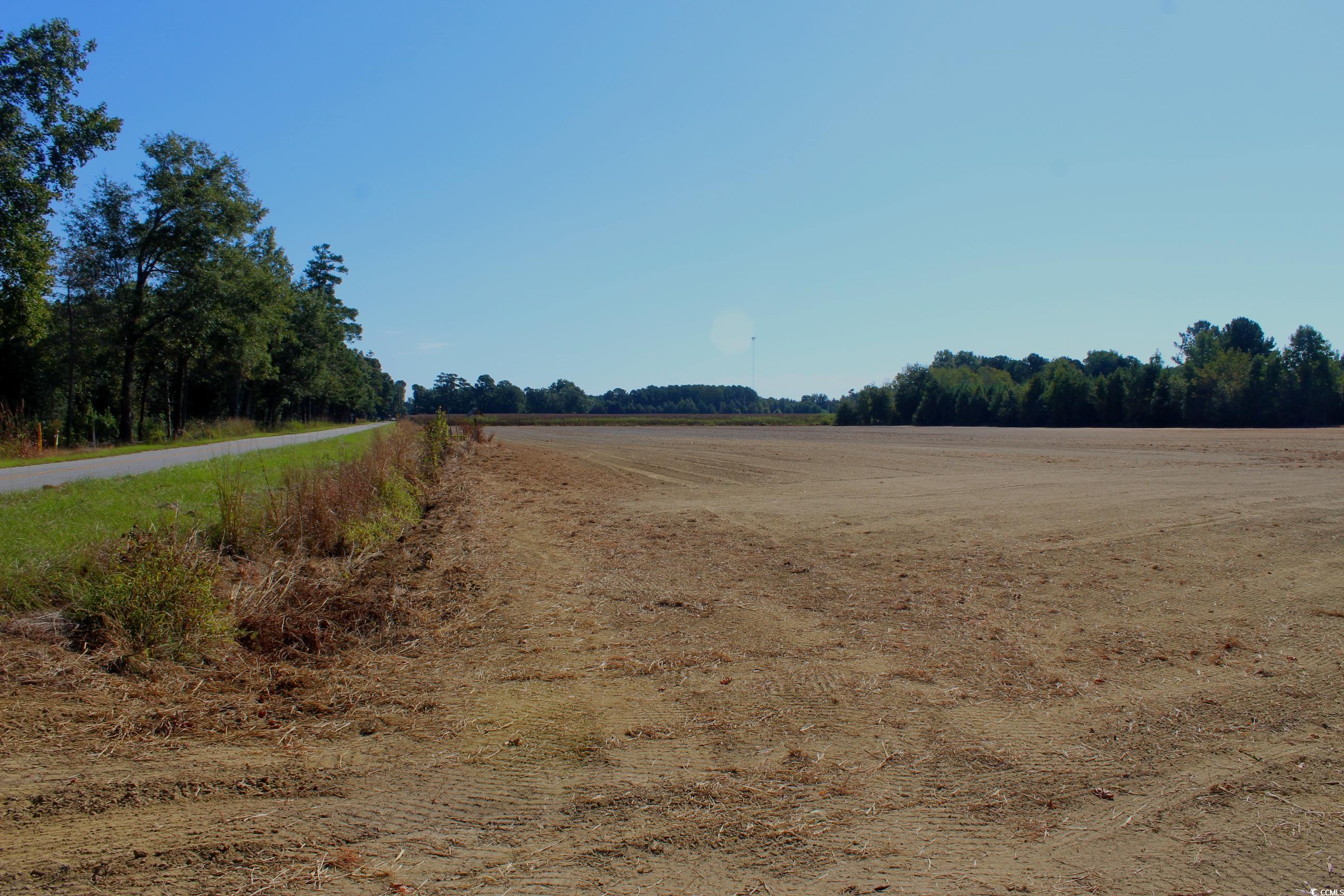 1-tbd Dew Rd 1-tbd Dew Road Marion, SC 29571 - Photo 23 of 29 Gallery Image 23