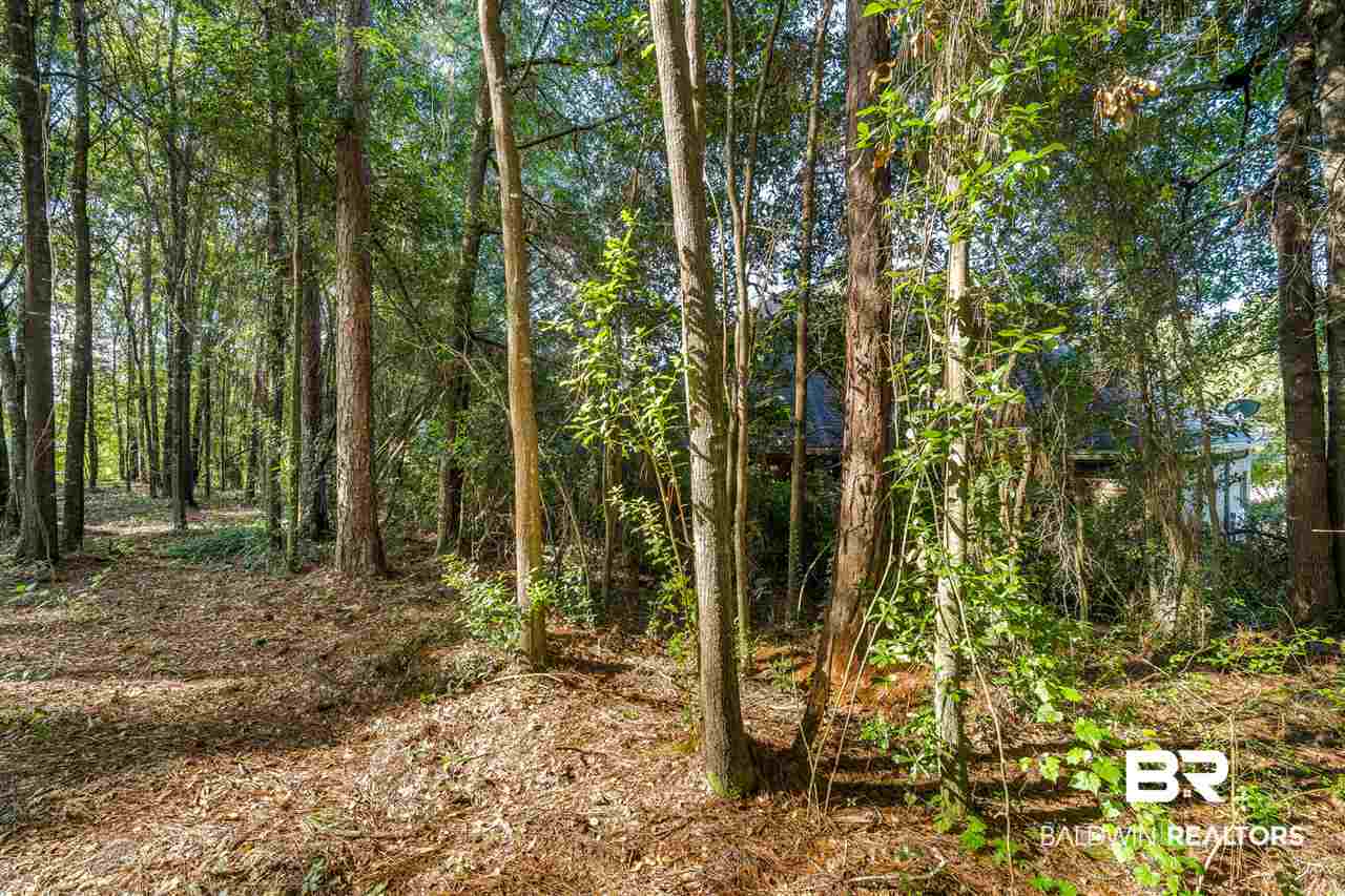 139 Sandy Shoal Loop Fairhope, AL 36532 - Photo 44 of 44