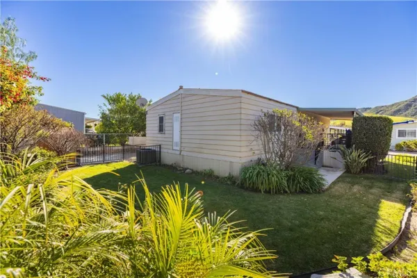 a view of a backyard with plants