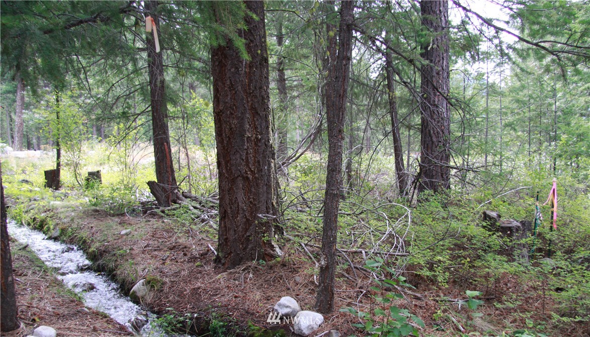 33 East Buttermilk Creek Road Twisp, WA 98856 - Photo 1 of 11 Gallery Image 1