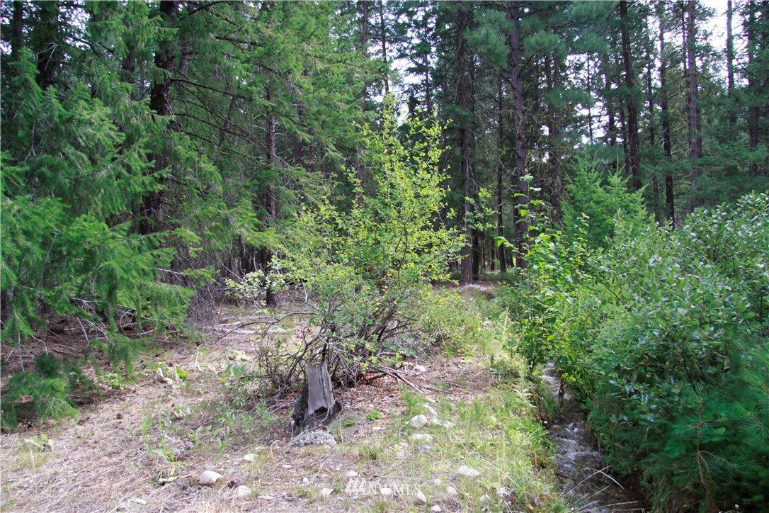 33 East Buttermilk Creek Road Twisp, WA 98856 - Photo 6 of 11 Gallery Image 6