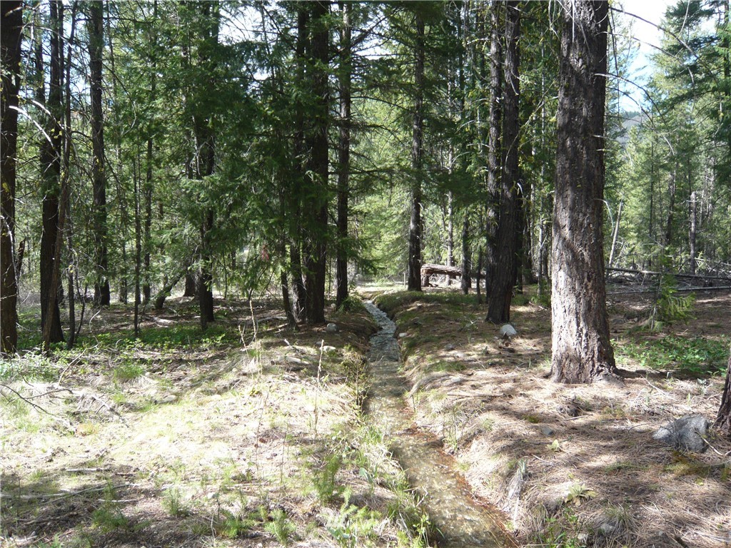 33 East Buttermilk Creek Road Twisp, WA 98856 - Photo 8 of 11 Gallery Image 8