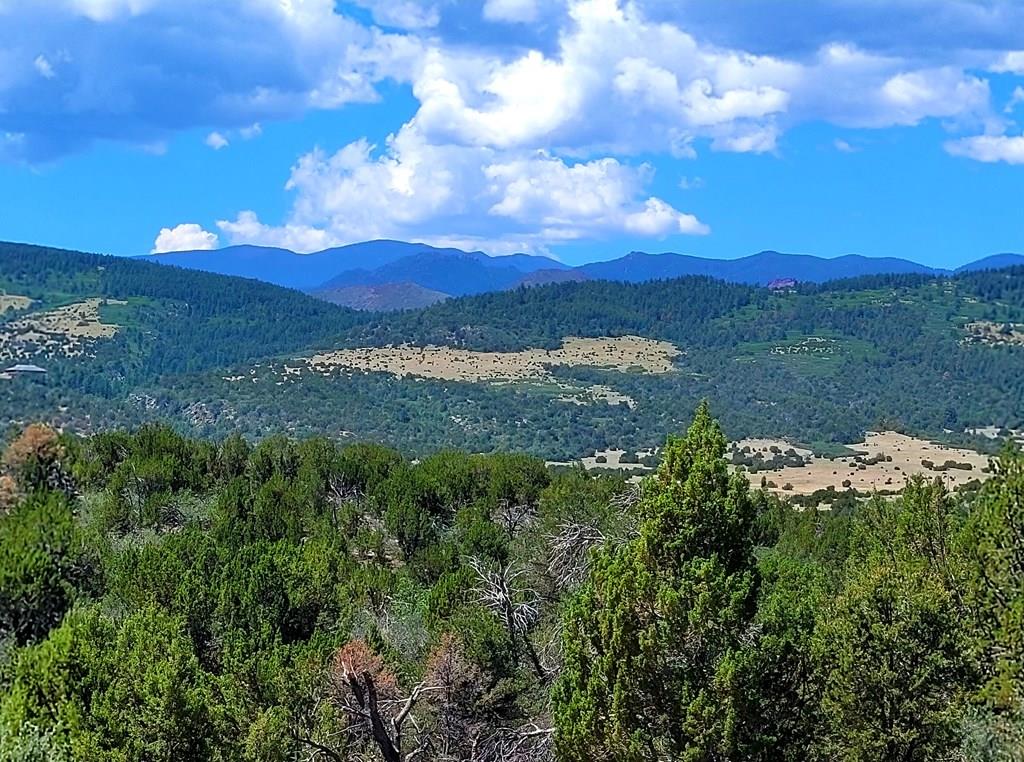 2915 Siloam Road Pueblo, CO 81005 - Photo 3 of 14 a view of a city with lush green forest