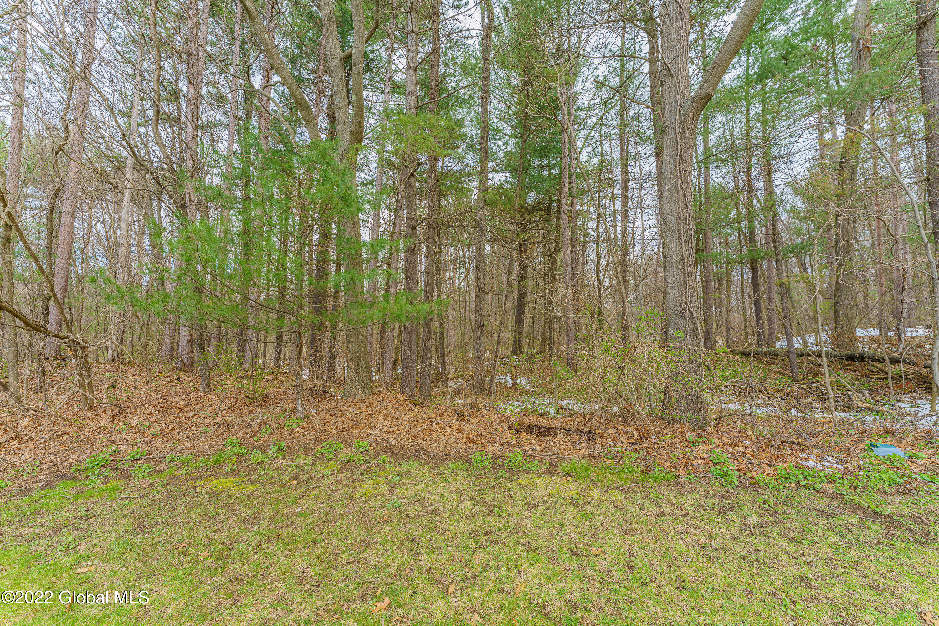 3097 East Old State Road Schenectady, NY 12303 - Photo 38 of 44 Yard 4