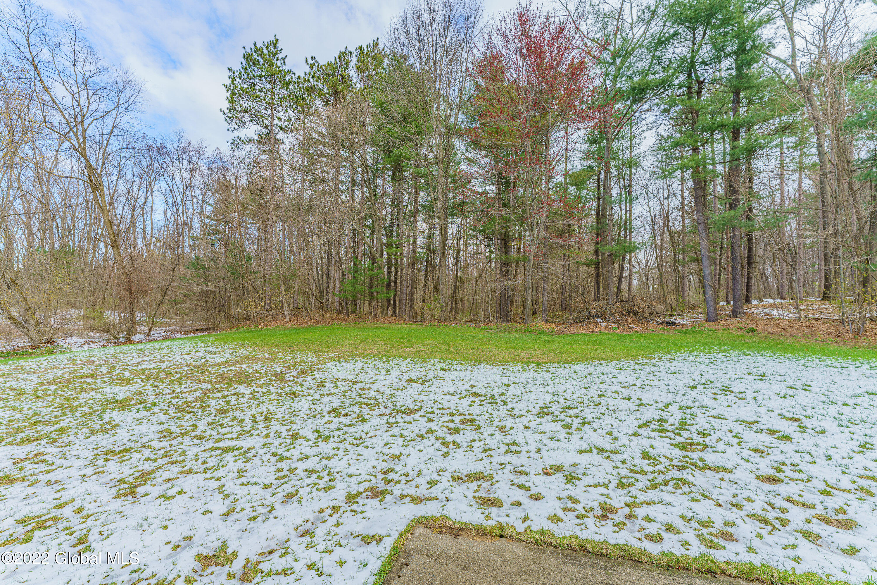 3097 East Old State Road Schenectady, NY 12303 - Photo 43 of 44 Yard 9