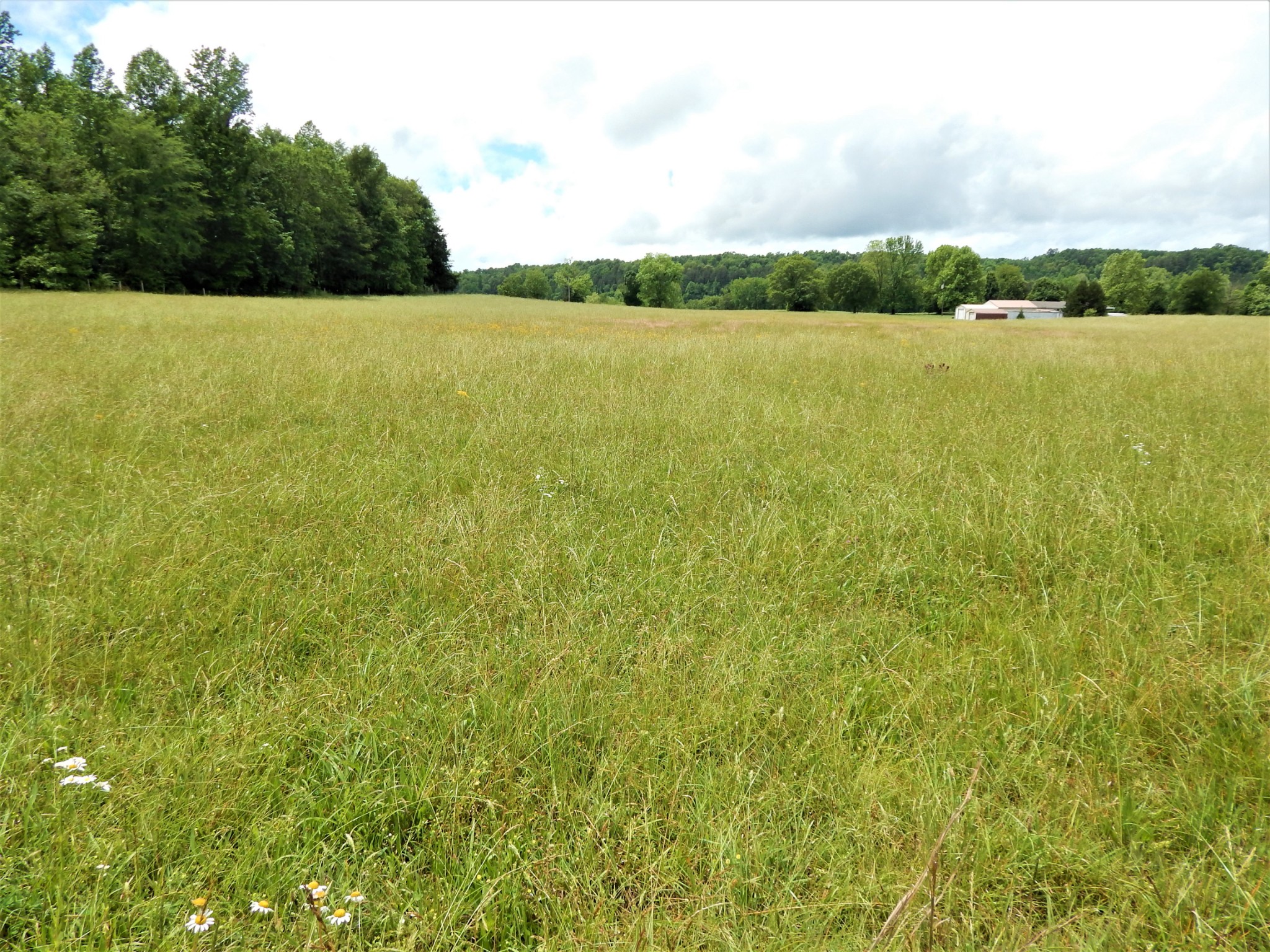 831 Green River Road Waynesboro, TN 38485 - Photo 27 of 49 Gallery Image 27