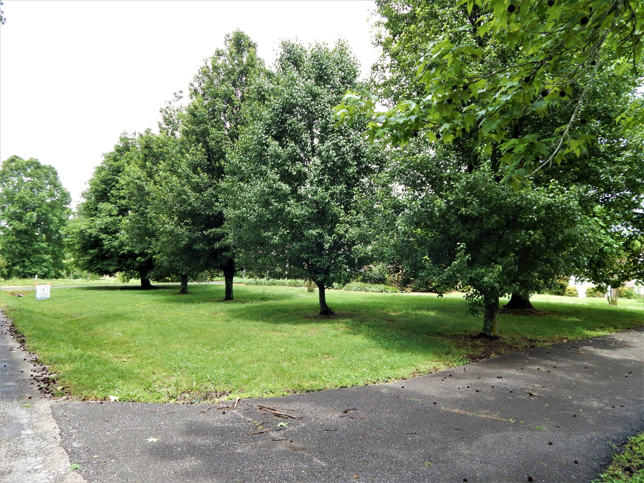 831 Green River Road Waynesboro, TN 38485 - Photo 30 of 49 Gallery Image 30