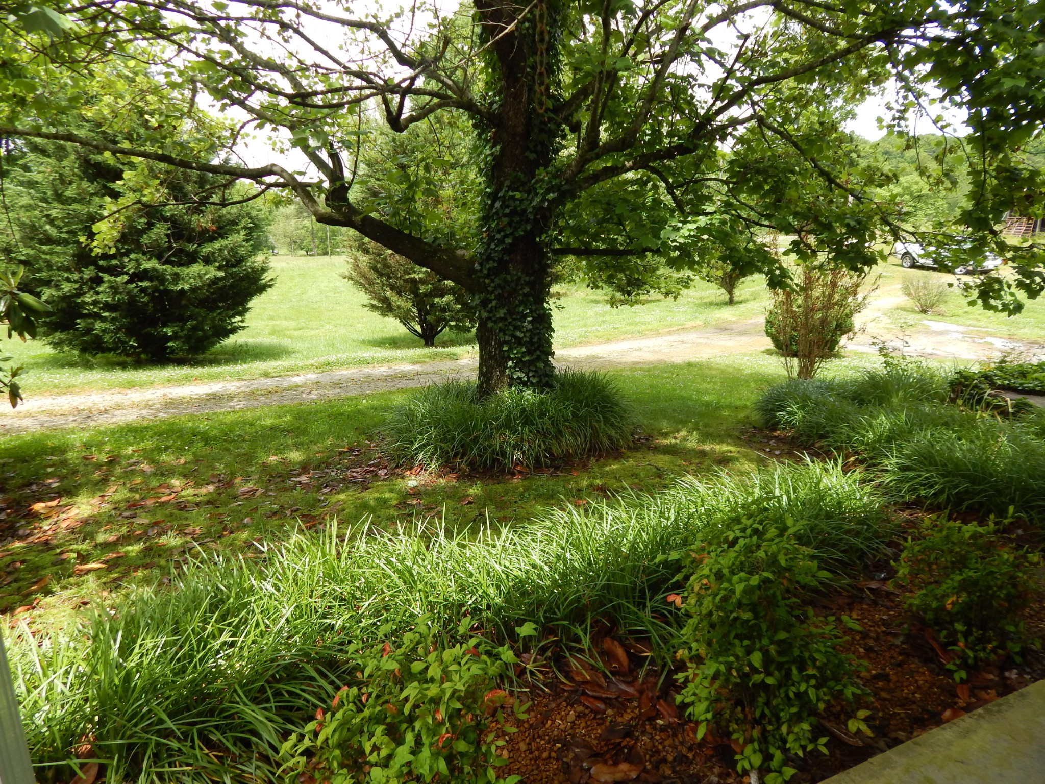 831 Green River Road Waynesboro, TN 38485 - Photo 31 of 49 Gallery Image 31