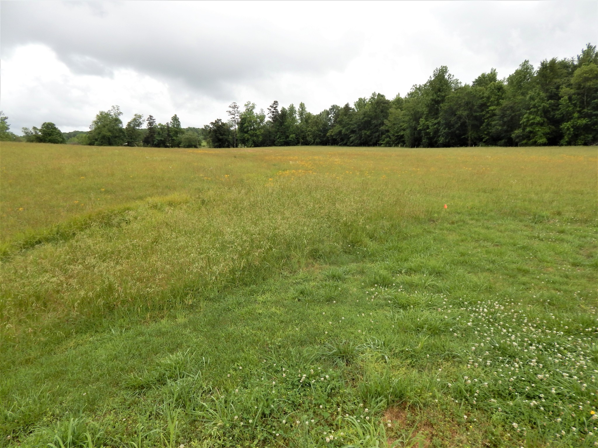 831 Green River Road Waynesboro, TN 38485 - Photo 42 of 49 Gallery Image 42