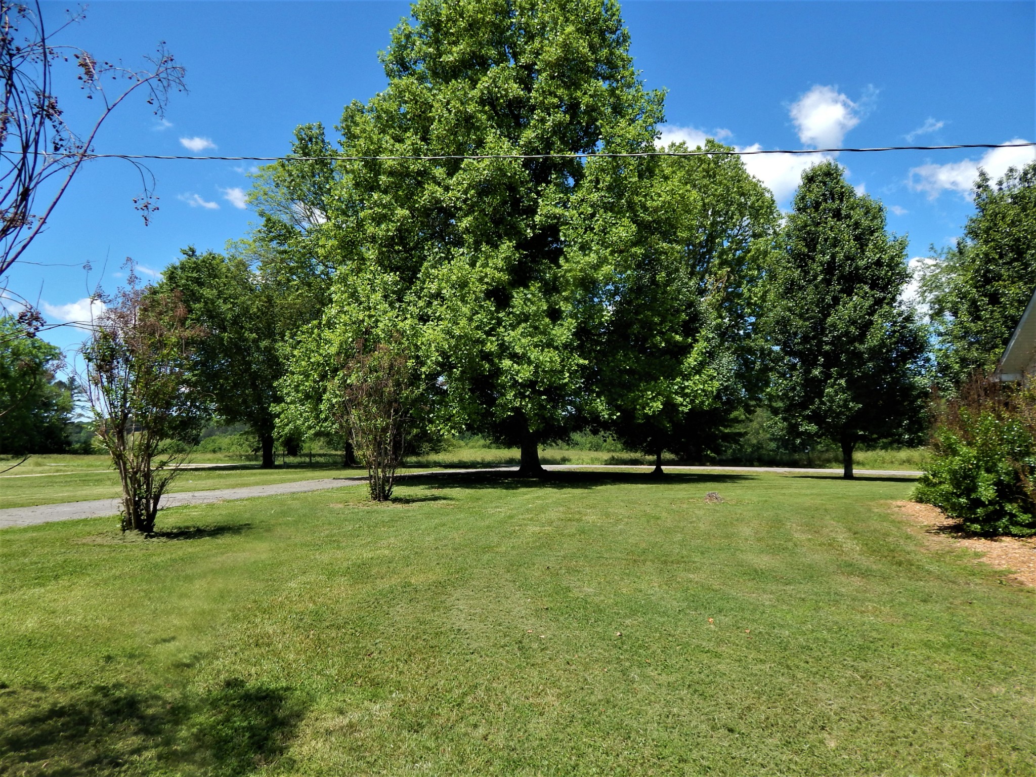 831 Green River Road Waynesboro, TN 38485 - Photo 43 of 49 Gallery Image 43