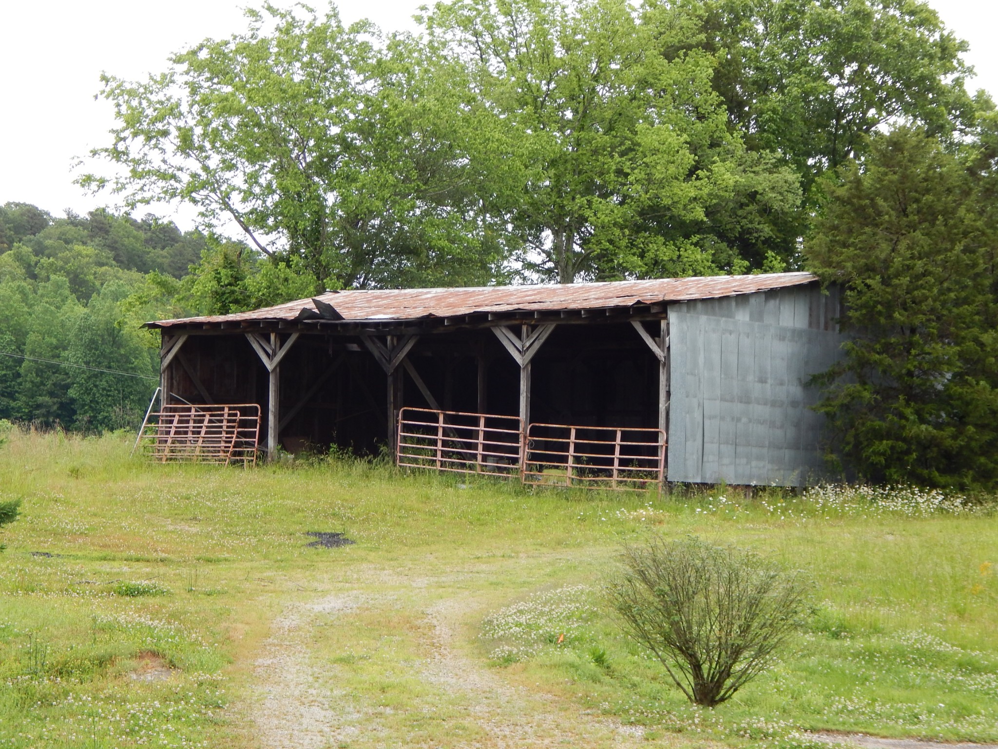 831 Green River Road Waynesboro, TN 38485 - Photo 44 of 49 Gallery Image 44