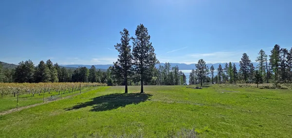 $999,000 | 22756 Highway 93, Rollins, MT 59931