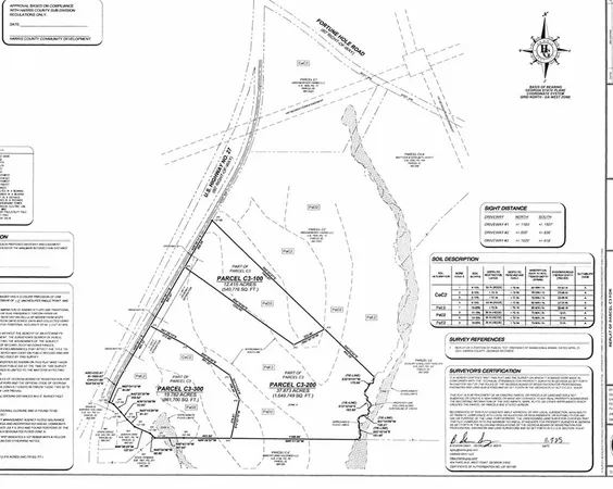 a black and white photo of a painting