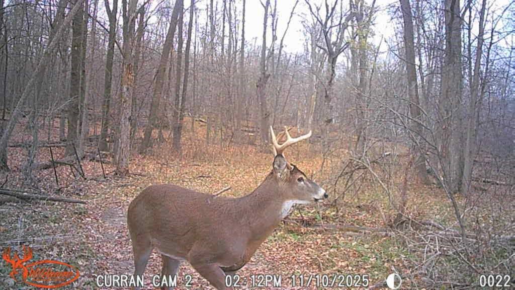 N7265 County Rd BB Spring Valley, WI 54767 - Photo 37 of 41