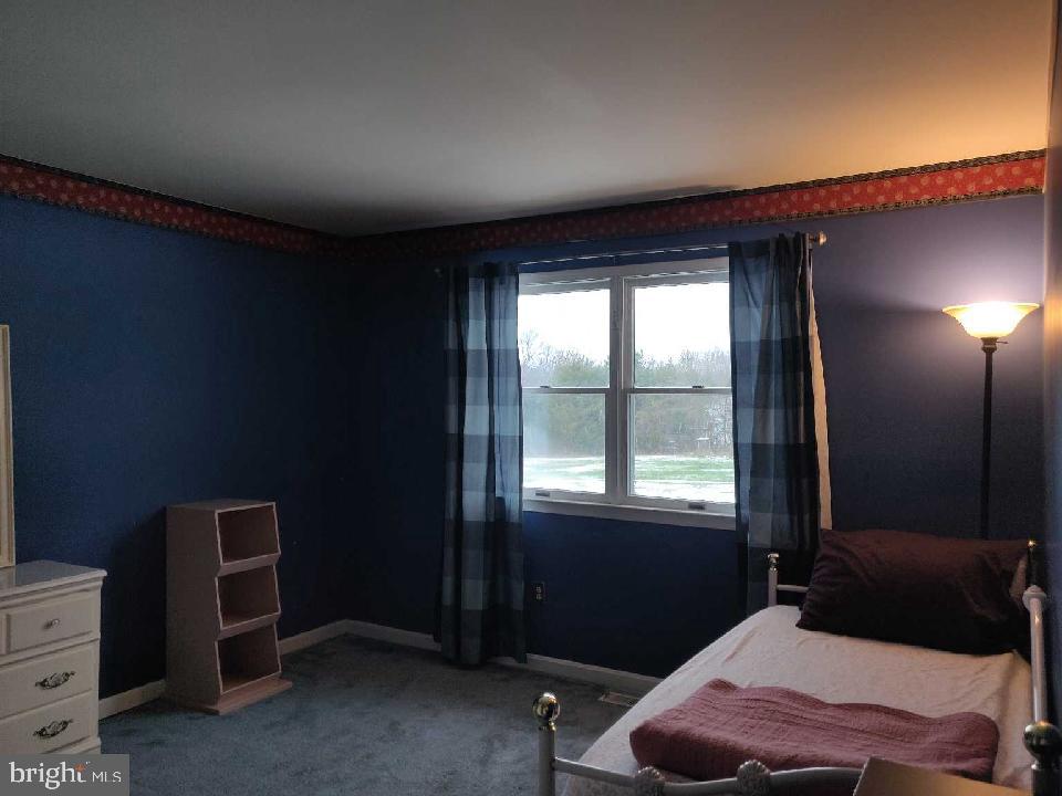 5444 Courtneys Corner Road Sumerduck, VA 22742 - Photo 7 of 12