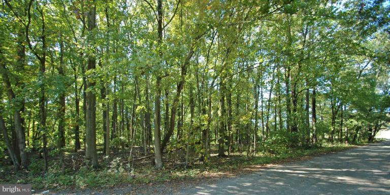11015 Bowerman Road White Marsh, MD 21162 - Photo 19 of 27 View