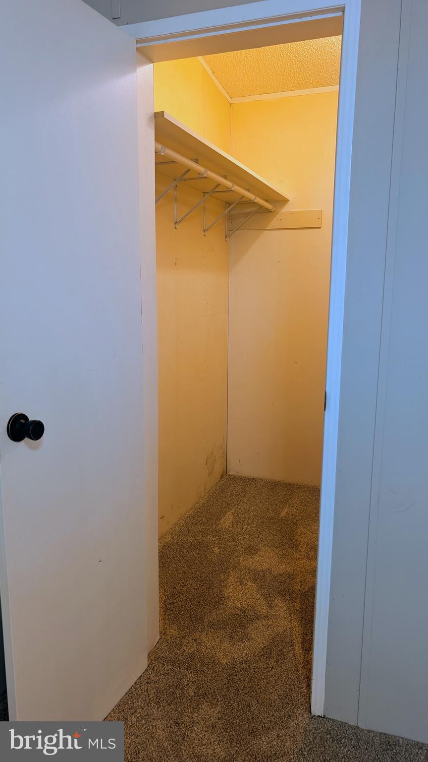 8167 Everona Road Unionville, VA 22567 - Photo 17 of 26 Large walk in closet