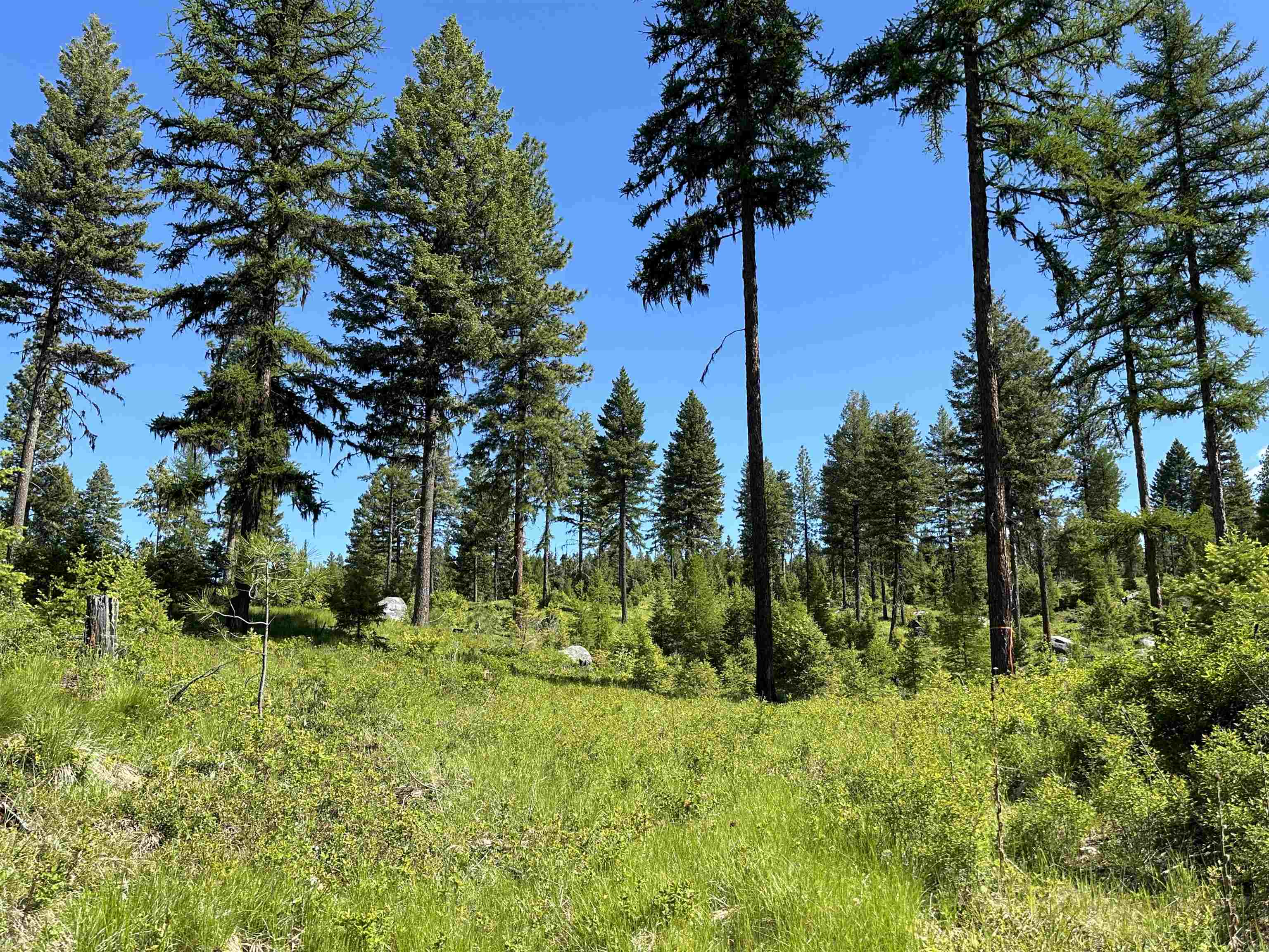 Tbd Lot 9 Tbd Road Republic, WA 99166 - Photo 11 of 28