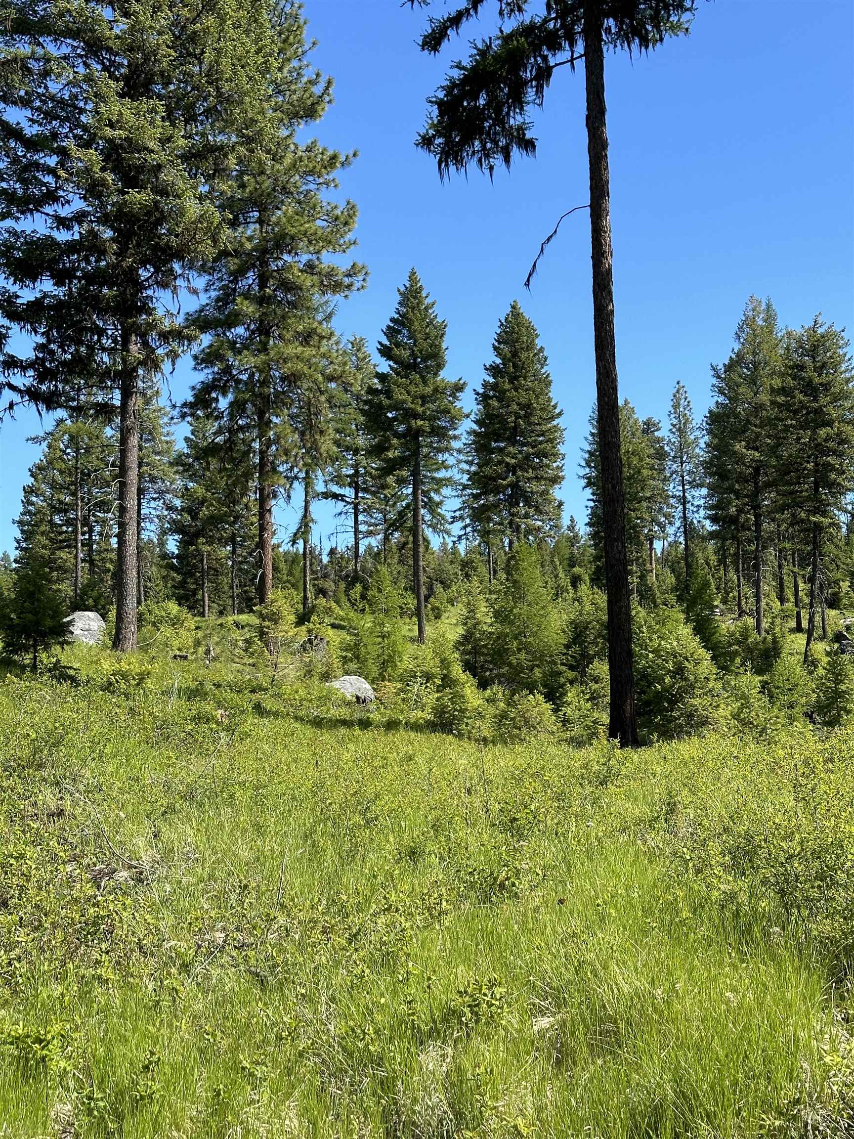 Tbd Lot 9 Tbd Road Republic, WA 99166 - Photo 12 of 28