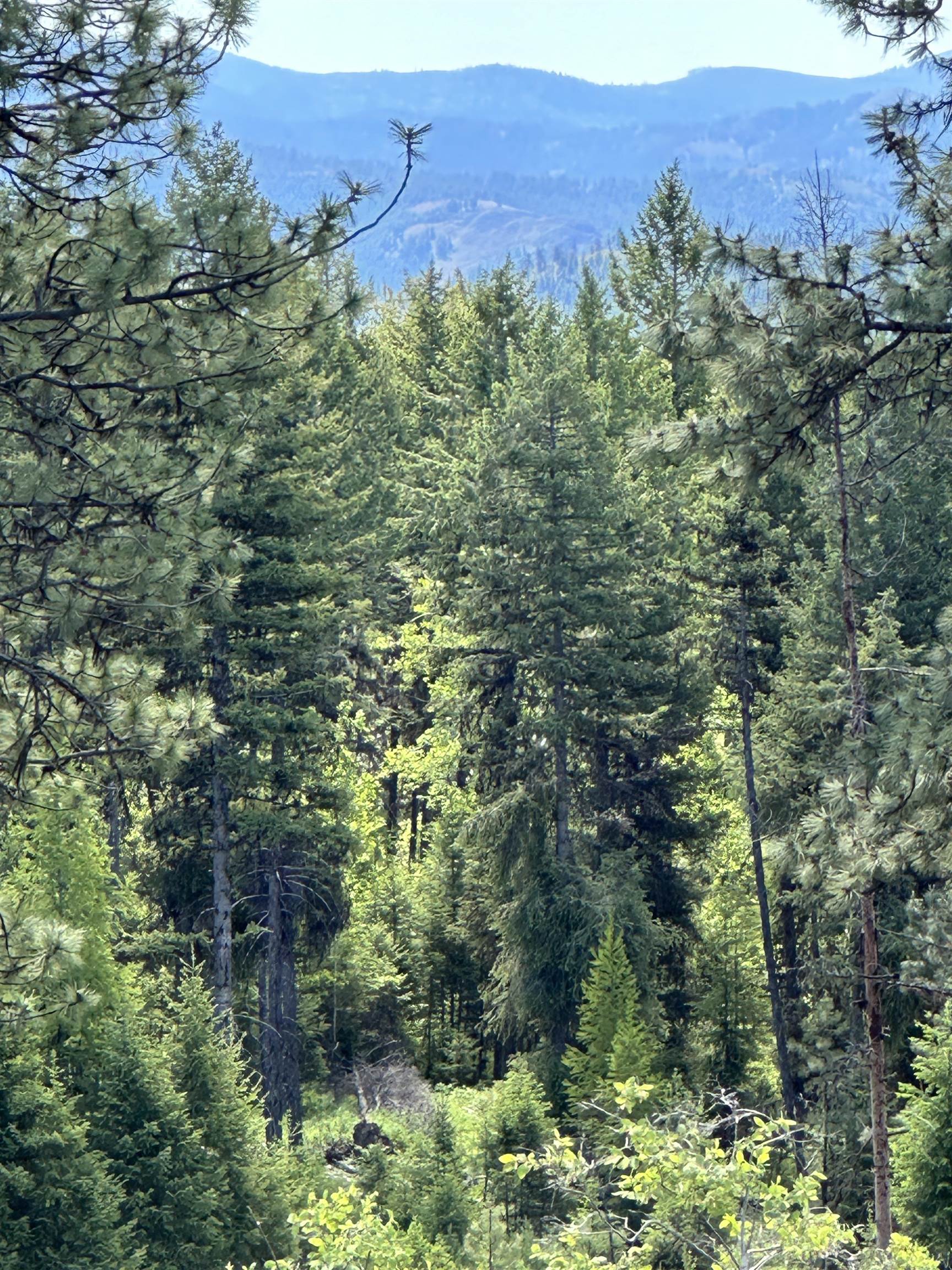Tbd Lot 9 Tbd Road Republic, WA 99166 - Photo 16 of 28