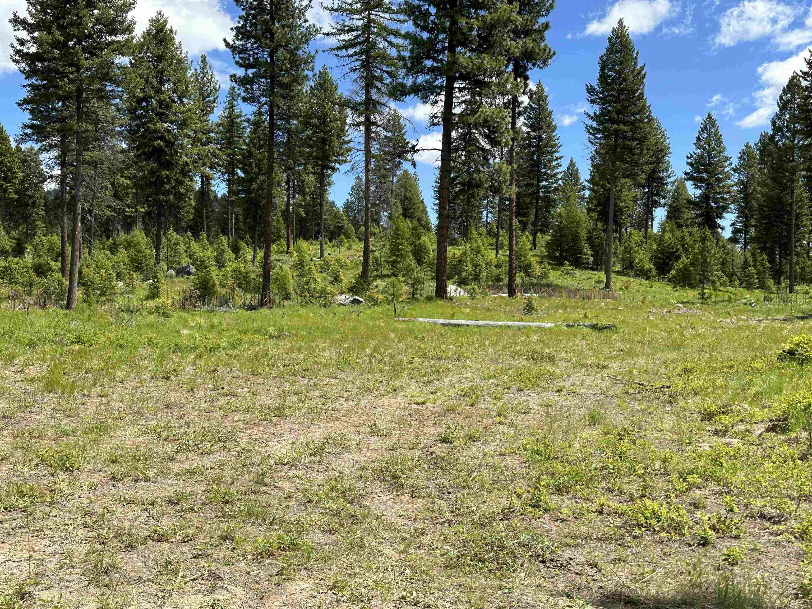 Tbd Lot 9 Tbd Road Republic, WA 99166 - Photo 20 of 28