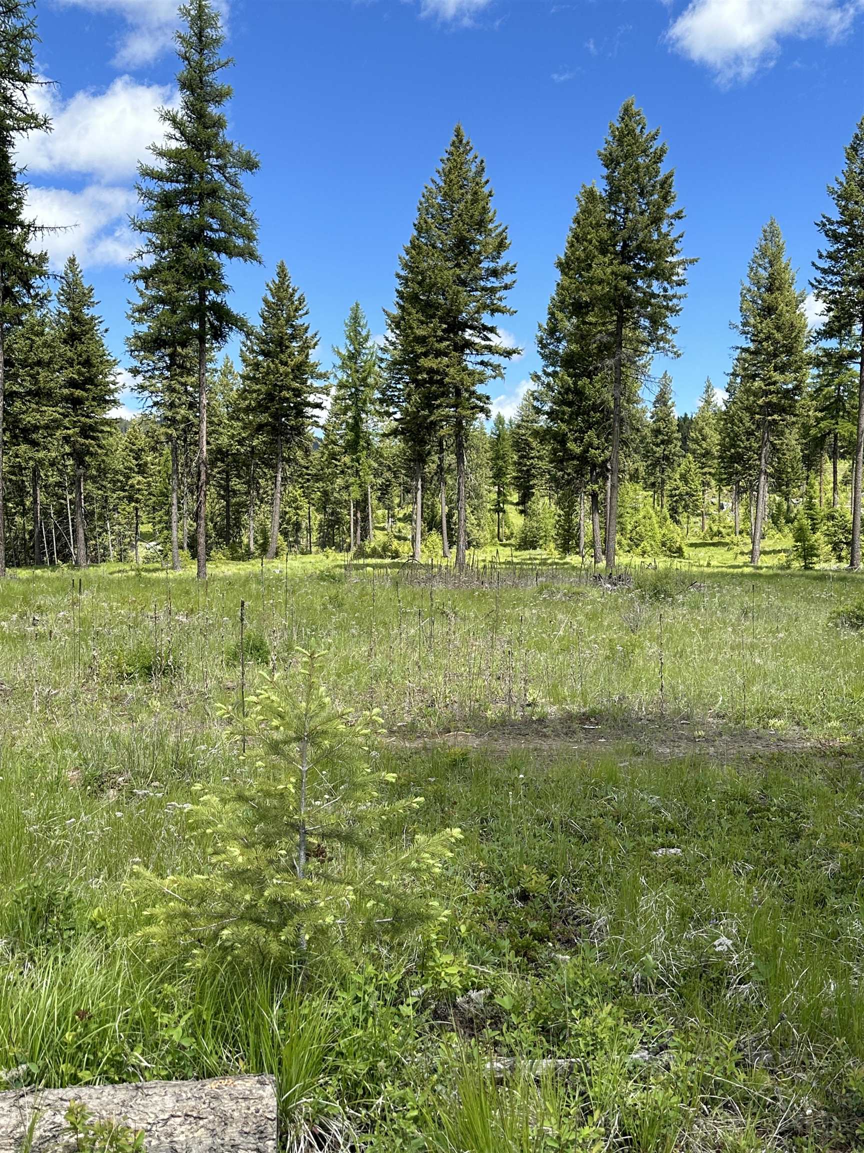 Tbd Lot 9 Tbd Road Republic, WA 99166 - Photo 21 of 28