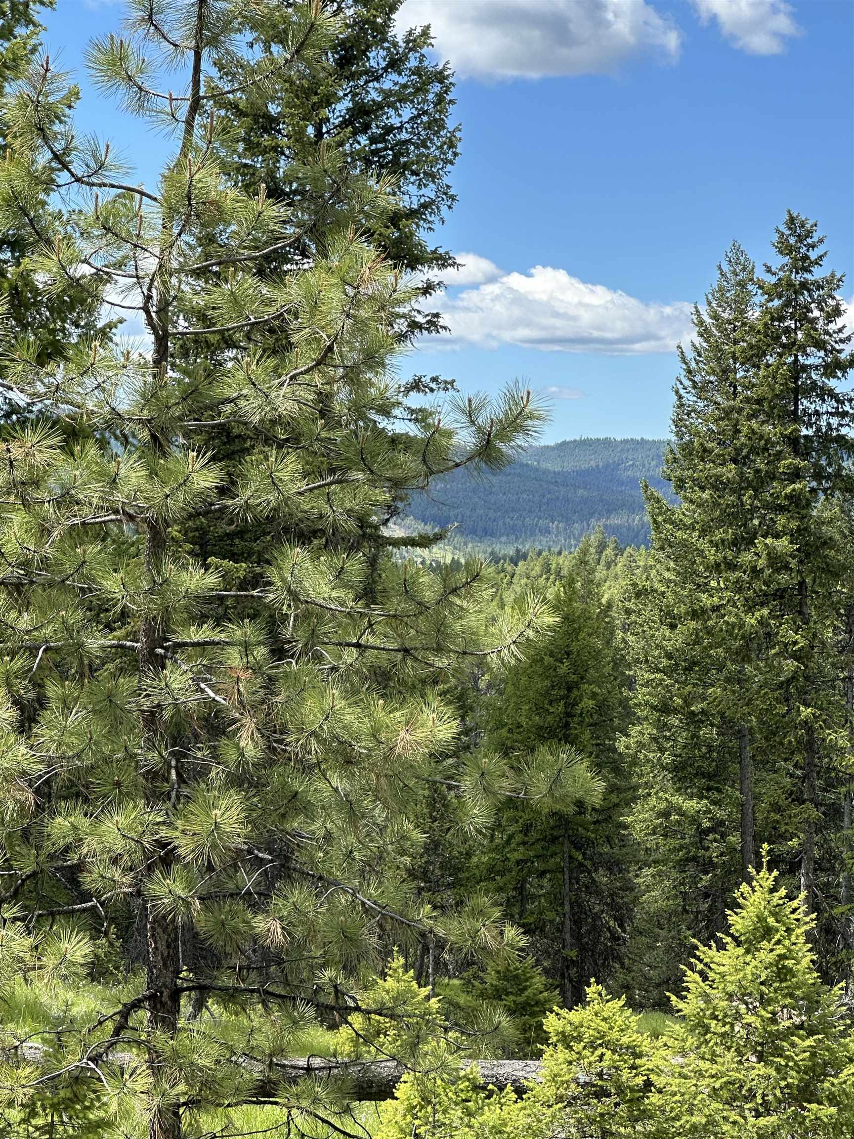 Tbd Lot 9 Tbd Road Republic, WA 99166 - Photo 28 of 28