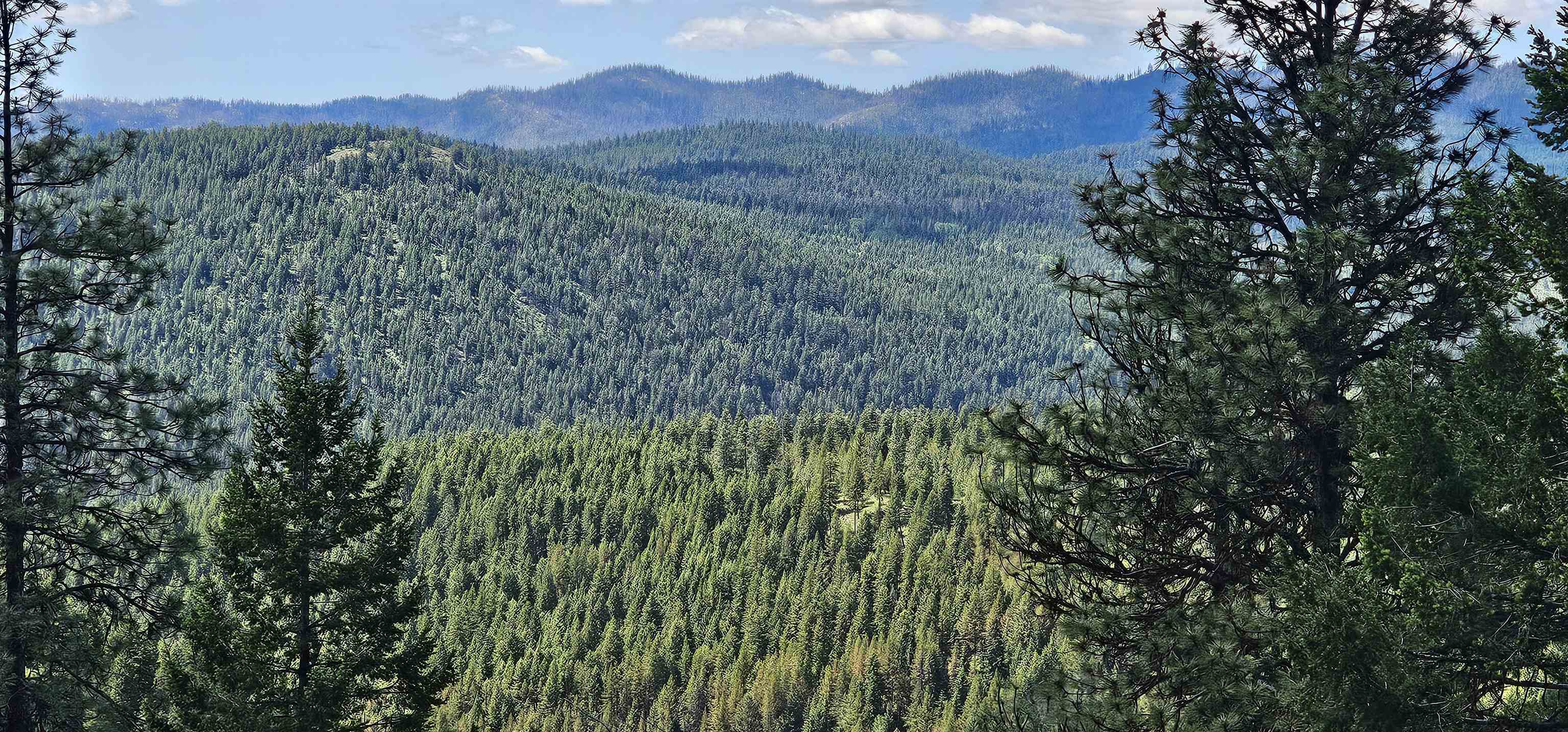 Tbd Lot 9 Tbd Road Republic, WA 99166 - Photo 4 of 28
