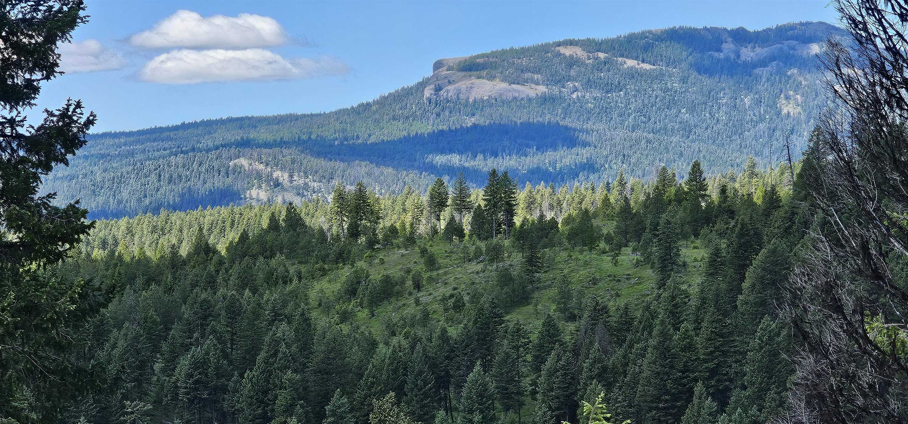 Tbd Lot 9 Tbd Road Republic, WA 99166 - Photo 5 of 28