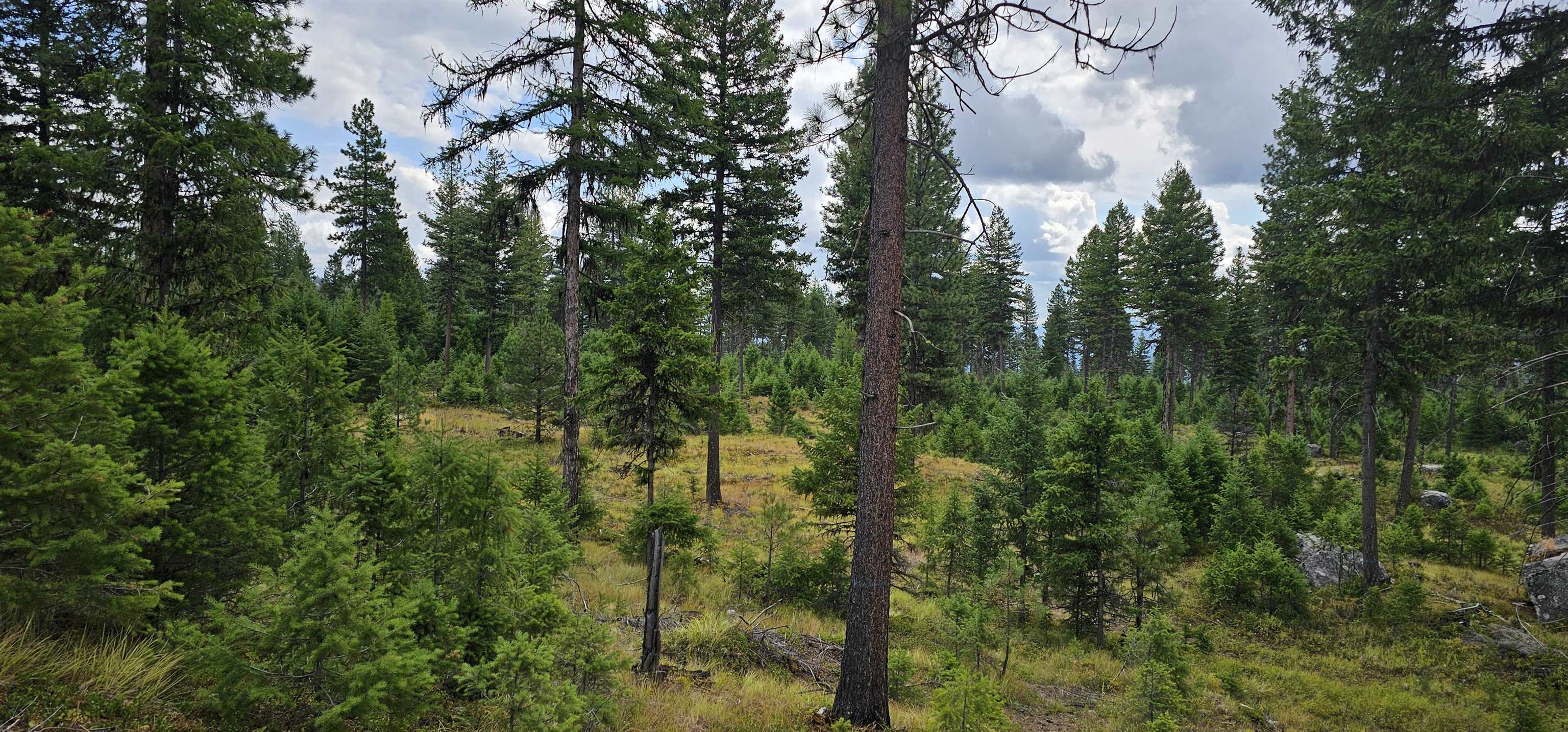 Tbd Lot 9 Tbd Road Republic, WA 99166 - Photo 6 of 28